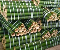 Vendo canne di bambù bambu con diametro da 1 a 10 cm. - 2