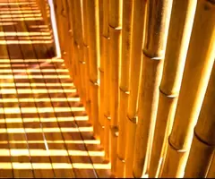 Vendo canne di bambù bambu con diametro da 1 a 10 cm. - 6