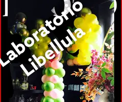 corso party planner laboratorio libellula - 1