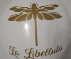 corso palloncini modellabili laboratorio libellula - 5