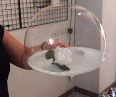 corso bolle di sapone giganti laboratorio libellula - 3